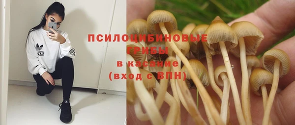 амфетамин Каменногорск