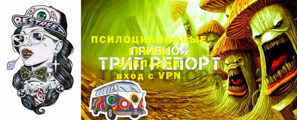 PSILOCYBIN Зерноград