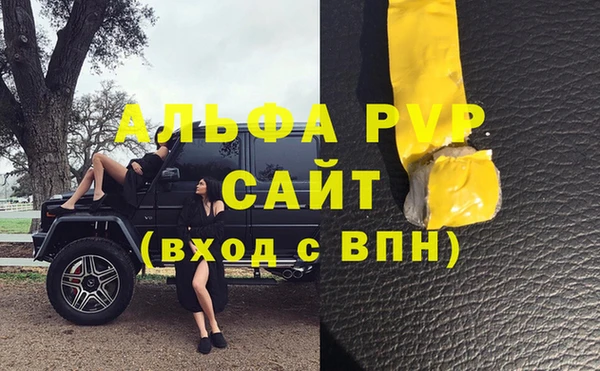 PSILOCYBIN Зерноград