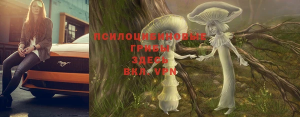 PSILOCYBIN Зерноград
