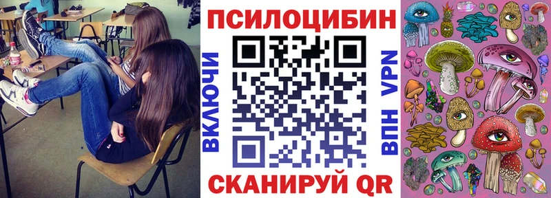 Галлюциногенные грибы Psilocybe Губаха